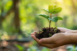 Importance de la réduction de l'impact carbone